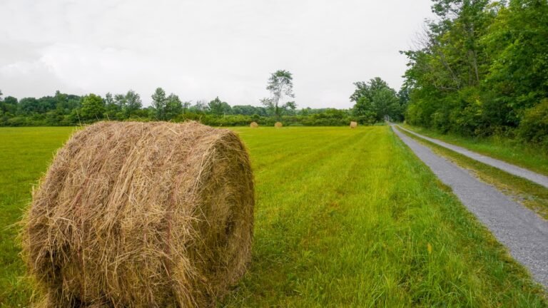 a large hay bale sitting on the side of a road